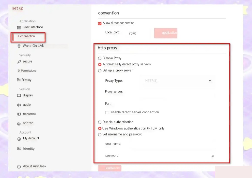 AnyDesk Cannot be Accessed from the Intranet